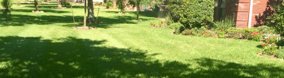 Landscaping Lawn Maintenance American Landscape Services